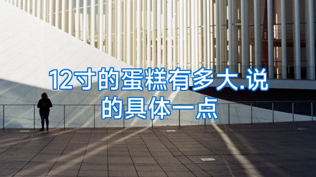 12寸的蛋糕有多大.说的具体一点