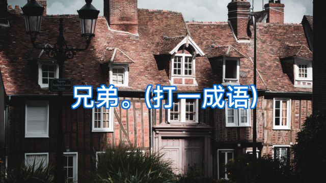 兄弟。(打一成语)