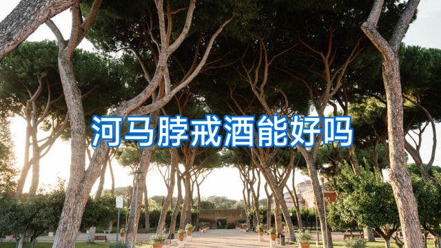 河马脖戒酒能好吗
