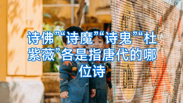 诗佛”“诗魔”“诗鬼”“杜紫薇”各是指唐代的哪位诗