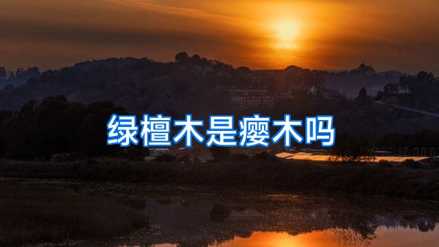 绿檀木是瘿木吗