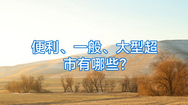 便利、一般、大型超市有哪些?