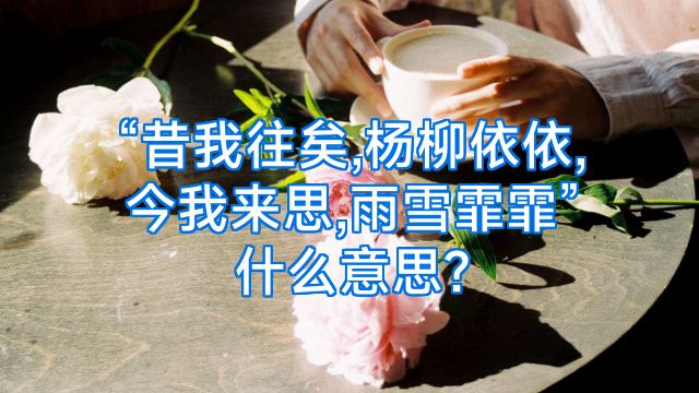 “昔我往矣,杨柳依依,今我来思,雨雪霏霏”什么意思?