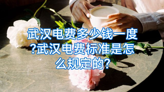 武汉电费多少钱一度?武汉电费标准是怎么规定的?