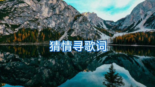 猜情寻歌词