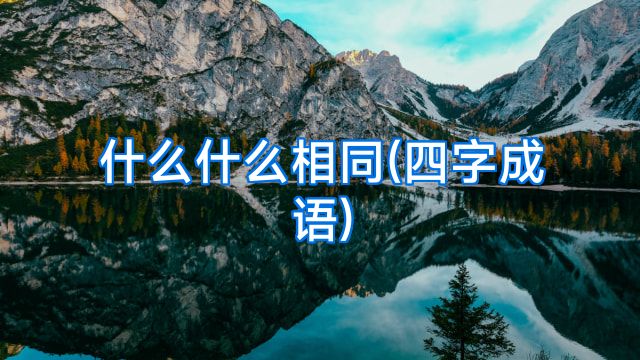 什么什么相同(四字成语)