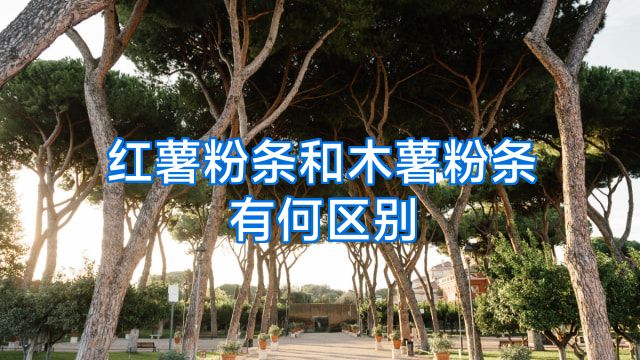 红薯粉条和木薯粉条有何区别