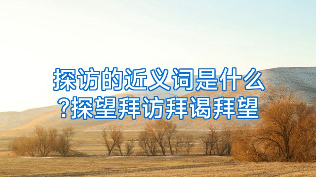 探访的近义词是什么?探望拜访拜谒拜望