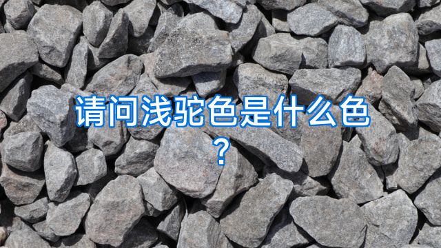 请问浅驼色是什么色?