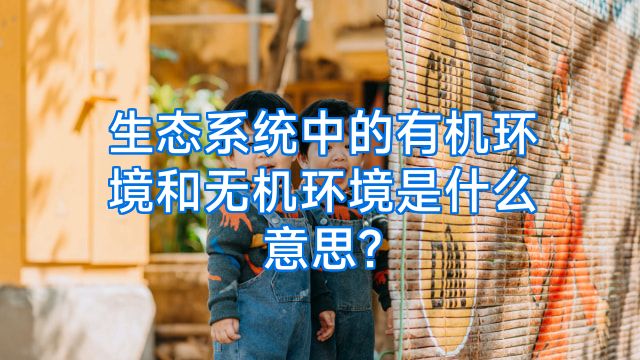 生态系统中的有机环境和无机环境是什么意思?