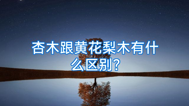 杏木跟黄花梨木有什么区别?