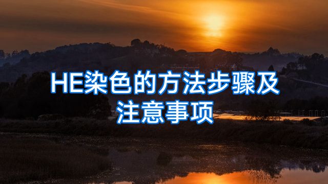 HE染色的方法步骤及注意事项