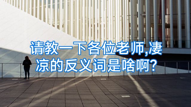 请教一下各位老师,凄凉的反义词是啥啊?