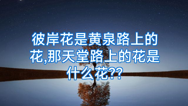 彼岸花是黄泉路上的花,那天堂路上的花是什么花??