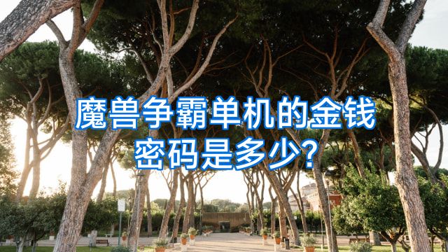 魔兽争霸单机的金钱密码是多少?