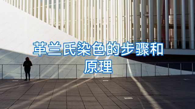 革兰氏染色的步骤和原理