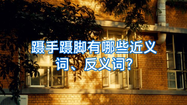 蹑手蹑脚有哪些近义词、反义词?