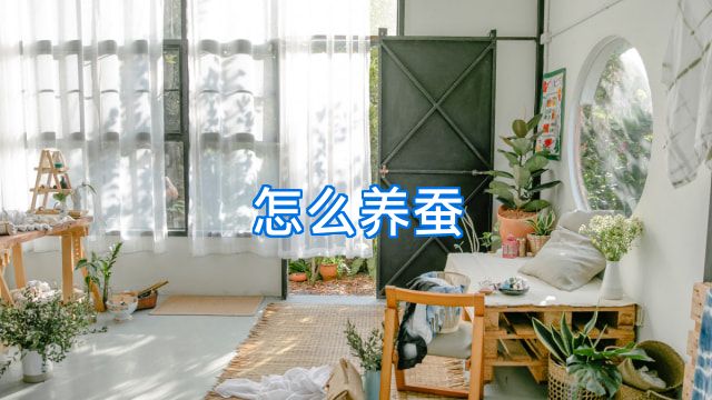 怎么养蚕