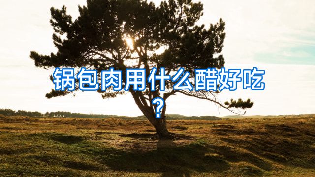 锅包肉用什么醋好吃?