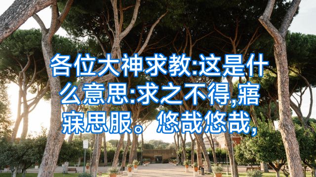 各位大神求教:这是什么意思:求之不得,寤寐思服。悠哉悠哉,