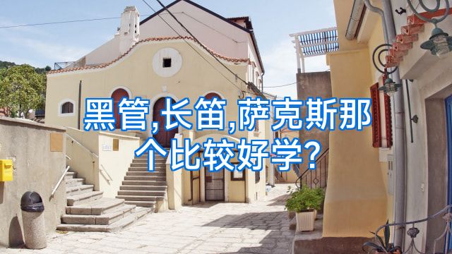 黑管,长笛,萨克斯那个比较好学?