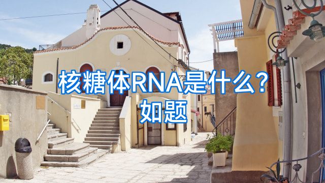 核糖体RNA是什么?如题