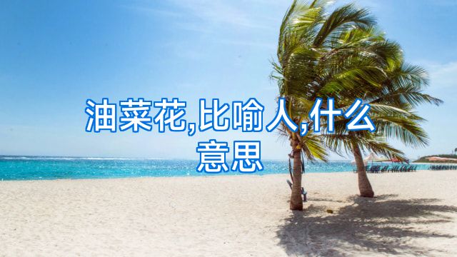油菜花,比喻人,什么意思