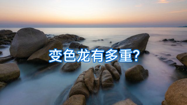 变色龙有多重?