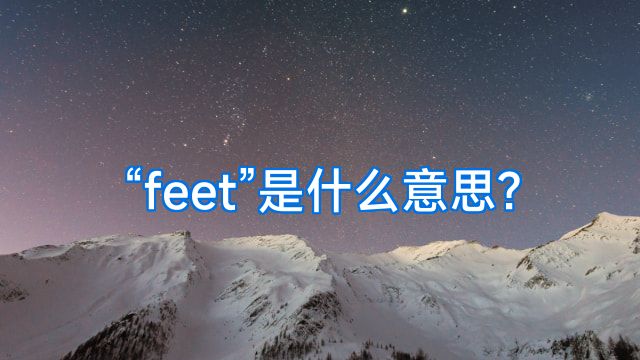 “feet”是什么意思?