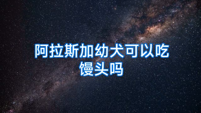 阿拉斯加幼犬可以吃馒头吗