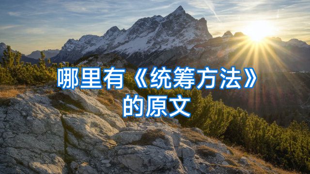 哪里有《统筹方法》的原文