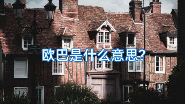 欧巴是什么意思?