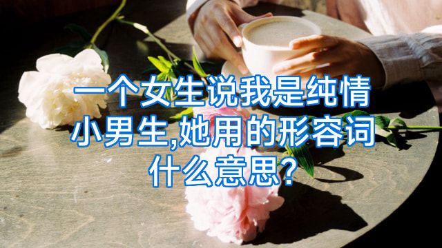 一个女生说我是纯情小男生,她用的形容词什么意思?