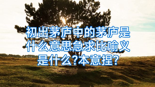 初出茅庐中的茅庐是什么意思急求比喻义是什么?本意捏?