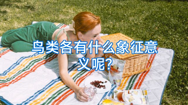 鸟类各有什么象征意义呢?