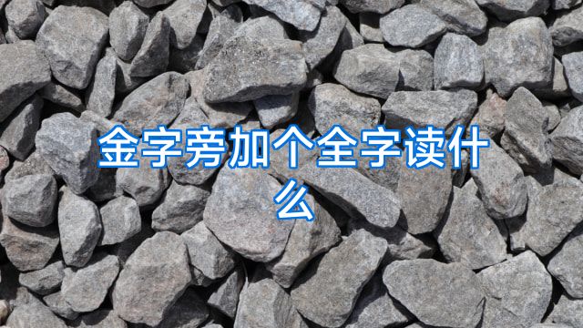 金字旁加个全字读什么