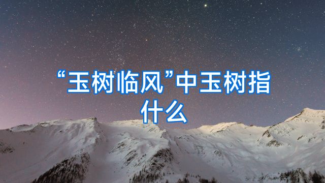 “玉树临风”中玉树指什么