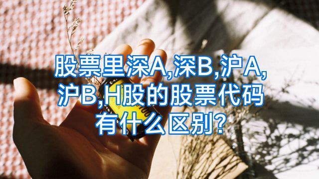 股票里深A,深B,沪A,沪B,H股的股票代码有什么区别?