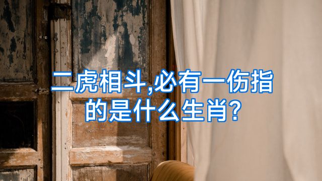 二虎相斗,必有一伤指的是什么生肖?