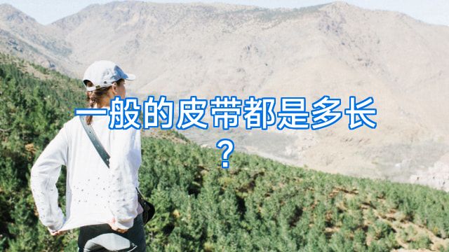 一般的皮带都是多长?