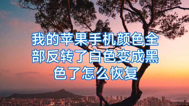 我的苹果手机颜色全部反转了白色变成黑色了怎么恢复