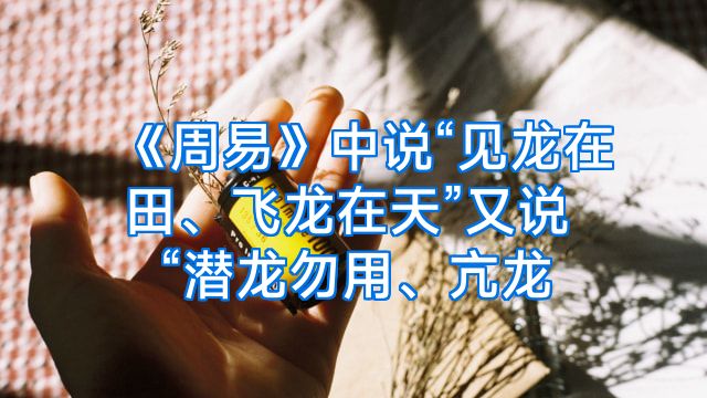《周易》中说“见龙在田、飞龙在天”又说“潜龙勿用、亢龙
