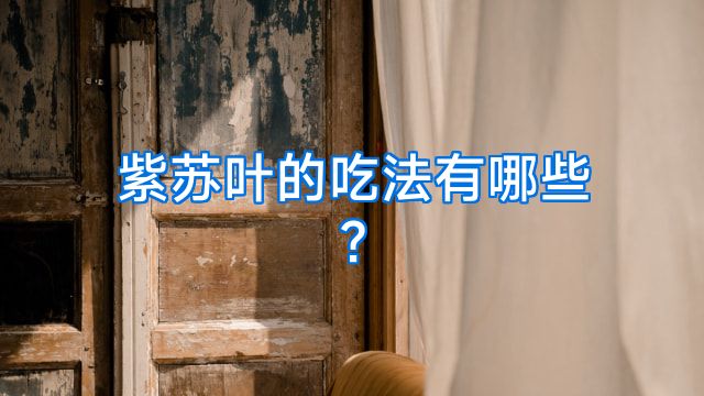 紫苏叶的吃法有哪些?