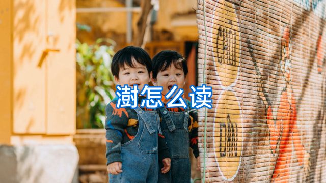澍怎么读