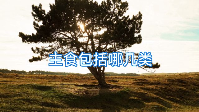 主食包括哪几类