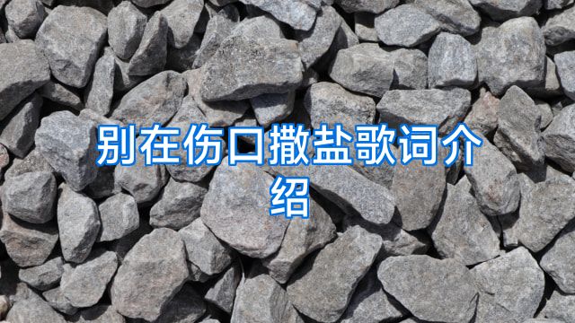 别在伤口撒盐歌词介绍