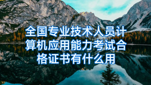 全国专业技术人员计算机应用能力考试合格证书有什么用