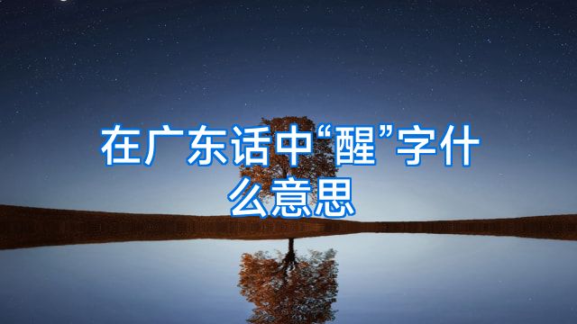在广东话中“醒”字什么意思