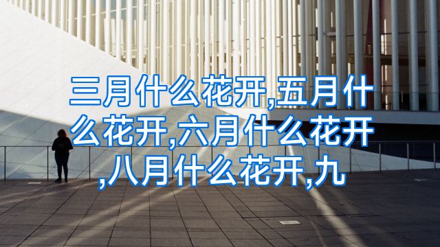 三月什么花开,五月什么花开,六月什么花开,八月什么花开,九