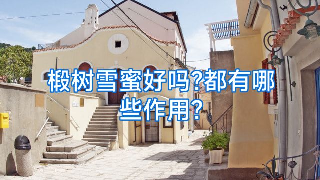 椴树雪蜜好吗?都有哪些作用?